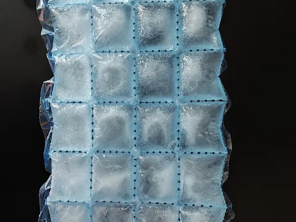 Bolsa sellada con cubos de hielo separados en celdas