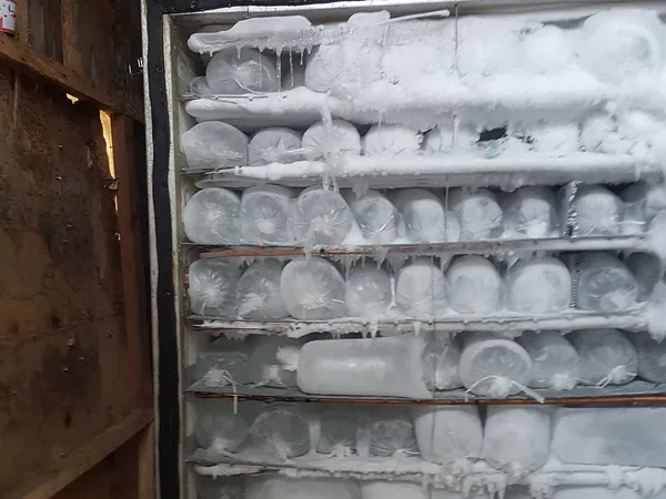 Bandejas llenas de hielo dentro de una máquina productora