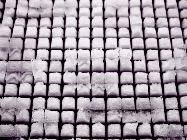 Moldes en cuadrícula con cubos de hielo ya congelados