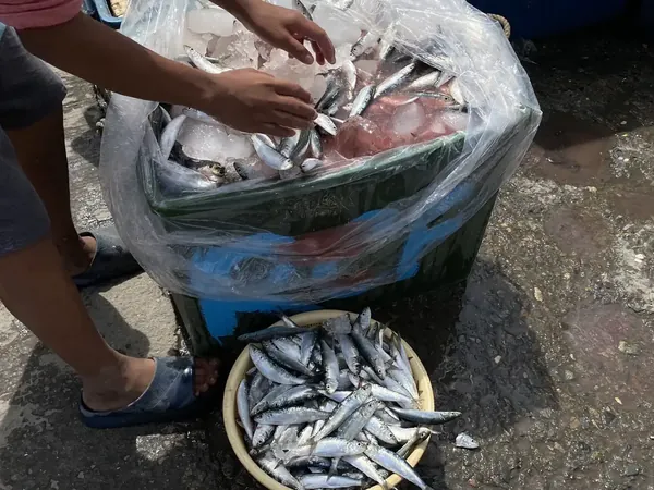 Caja con pescado fresco cubierto de hielo